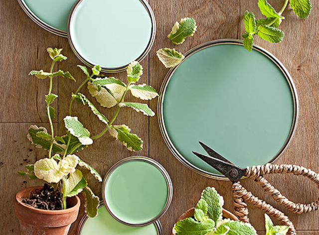 Green With Envy. Our Favorite Shades of Green For Spring